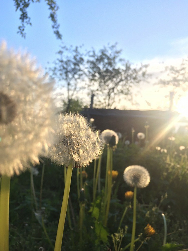 nature