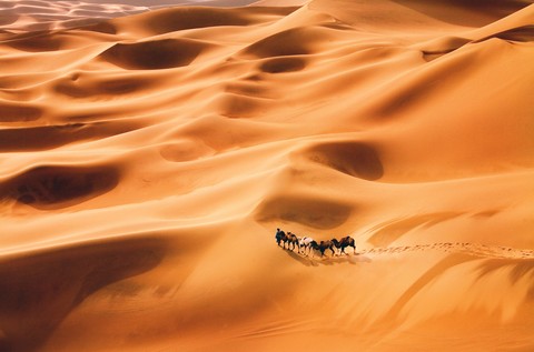 Desert
