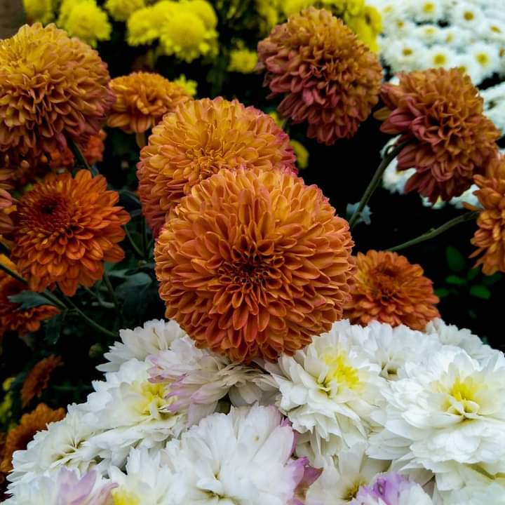 beauty of nature