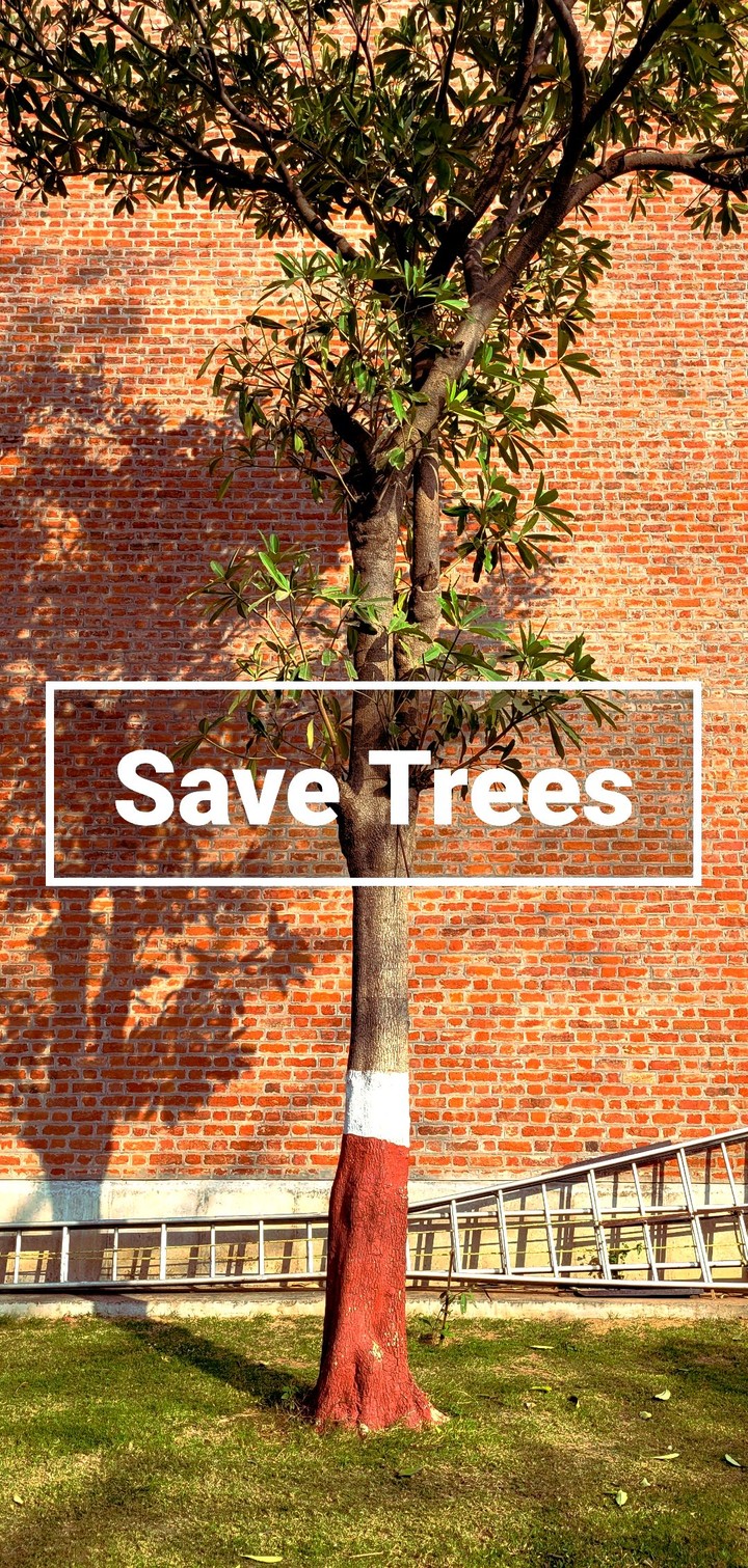 Save Trees