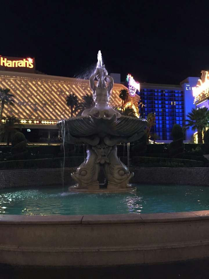 Fountain of youth