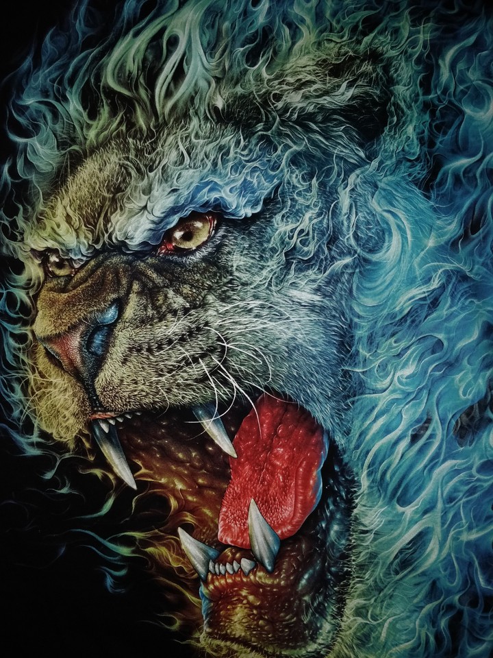 Lion 