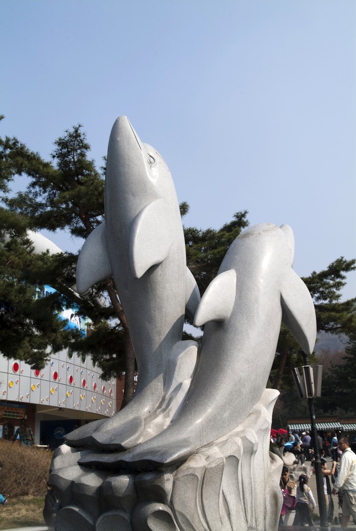 Dolphin