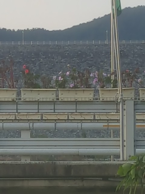 산