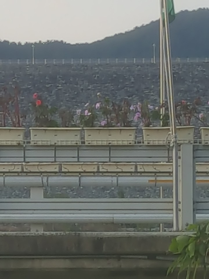 산