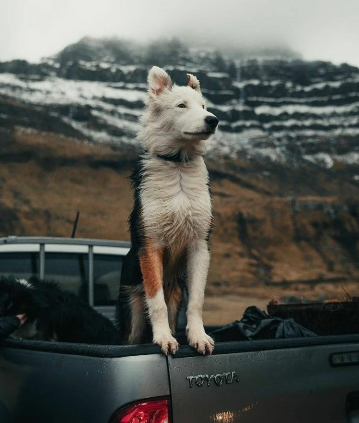 ♡♡