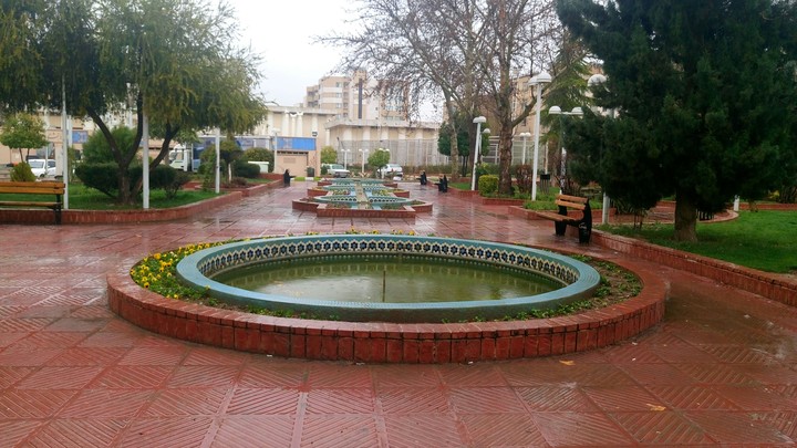 A rainy day in spring_Shiraz_Iran