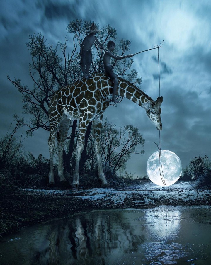 Moon