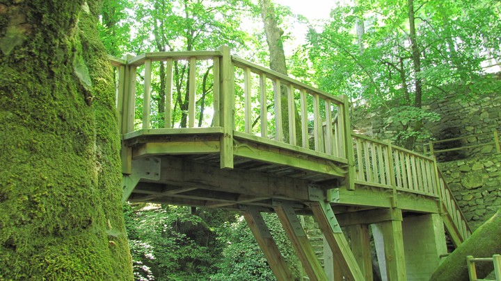 Bridge