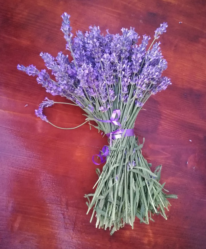 lavanda