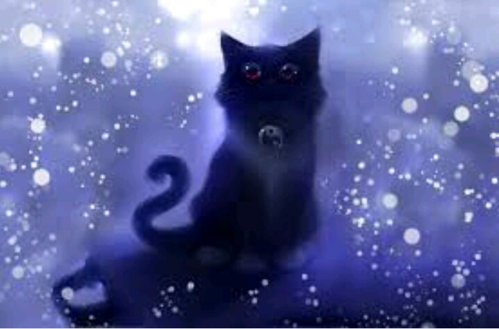 *Cat*