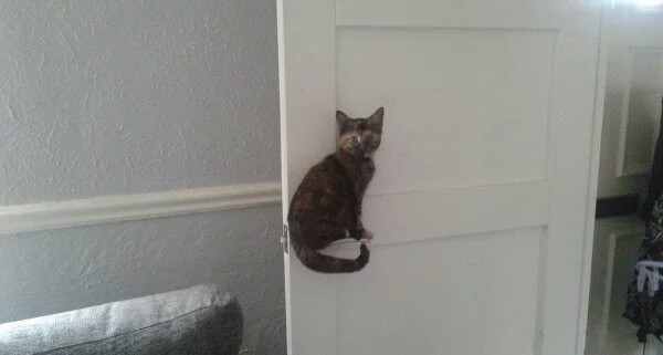I am so cute