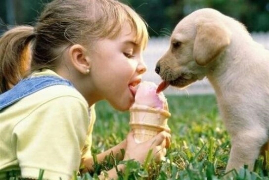 hahahah. ...beautiful