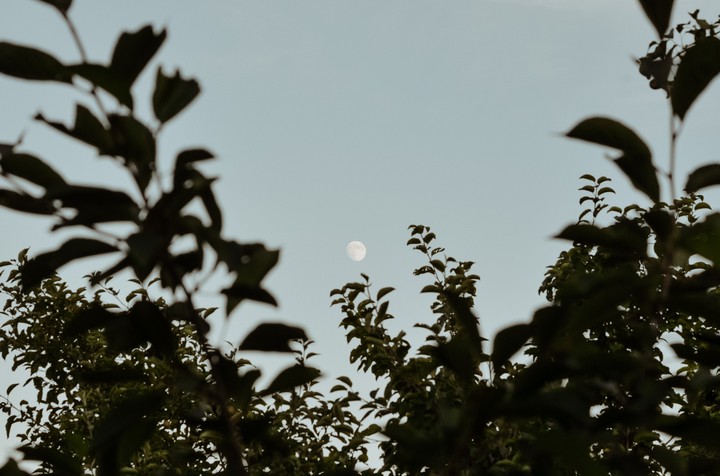 moon