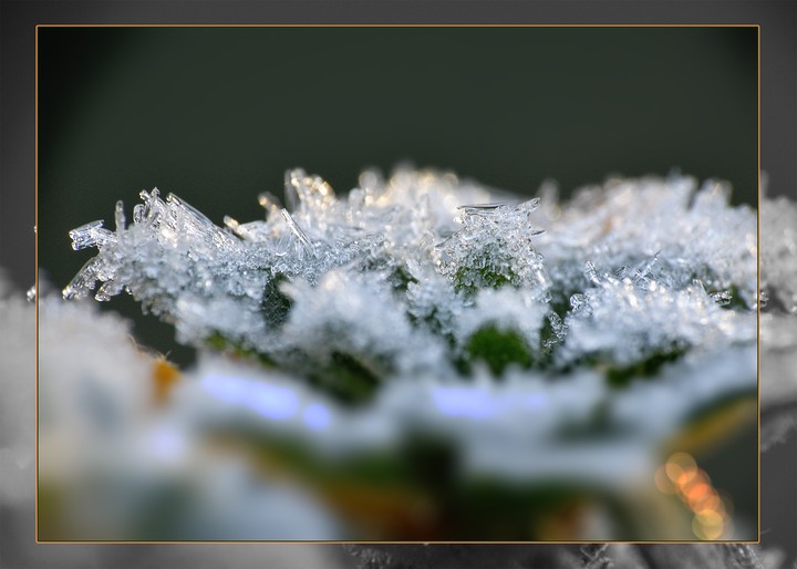 Cold