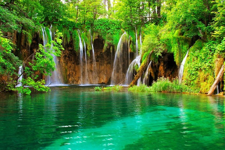 natural beauty