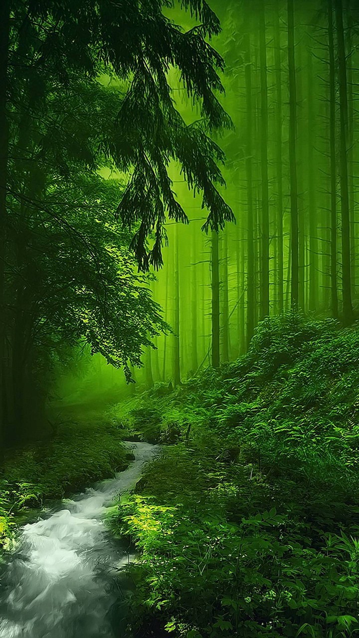 Green trees