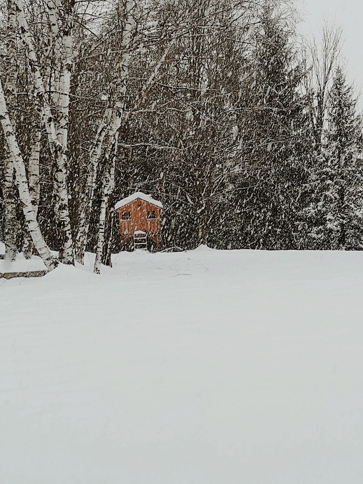 snowing