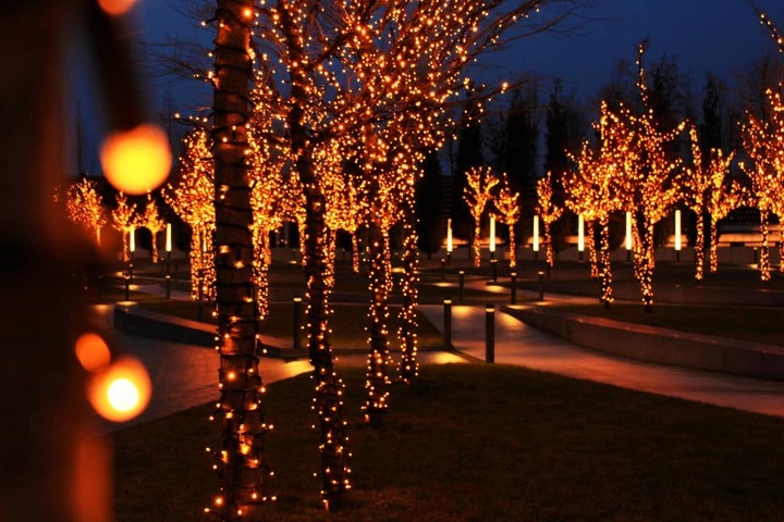 Lights