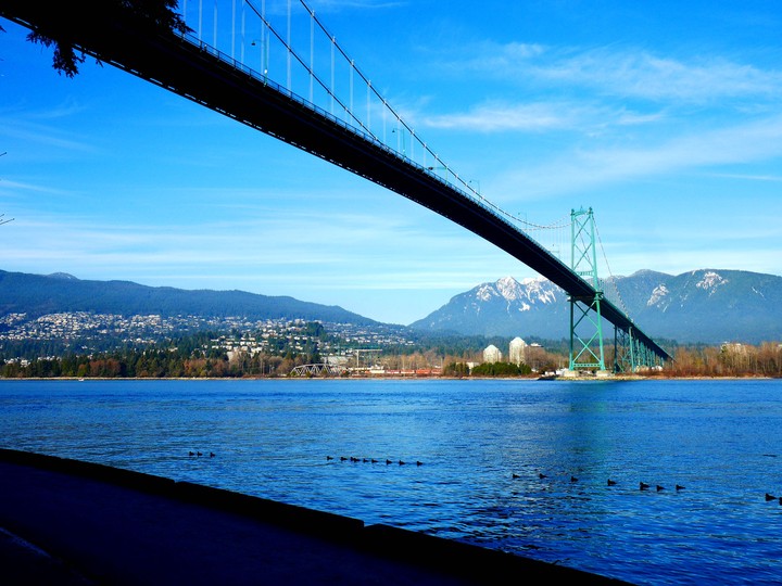 from Stanley Park
