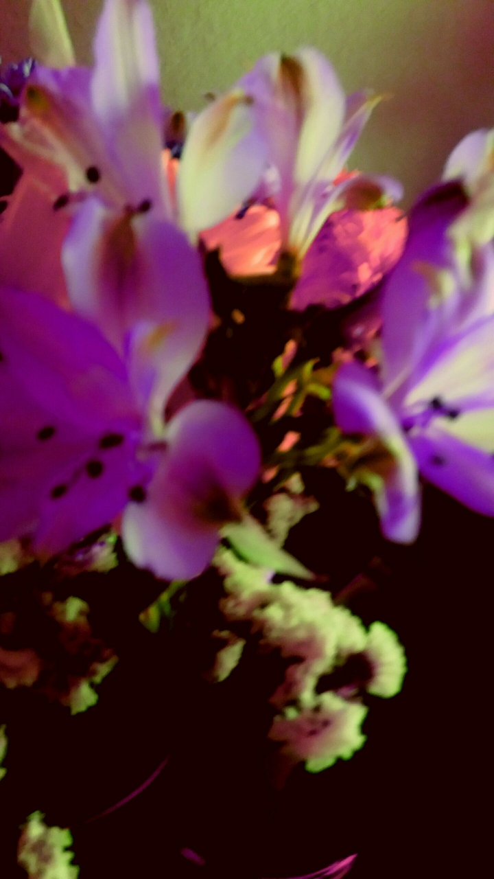 Friday's  flowers2