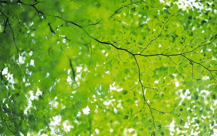 Greenish