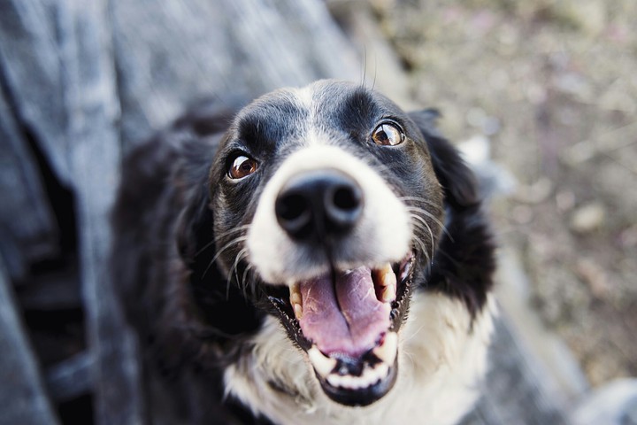 Say cheese!)))