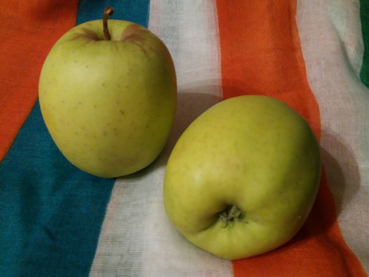 green and orange