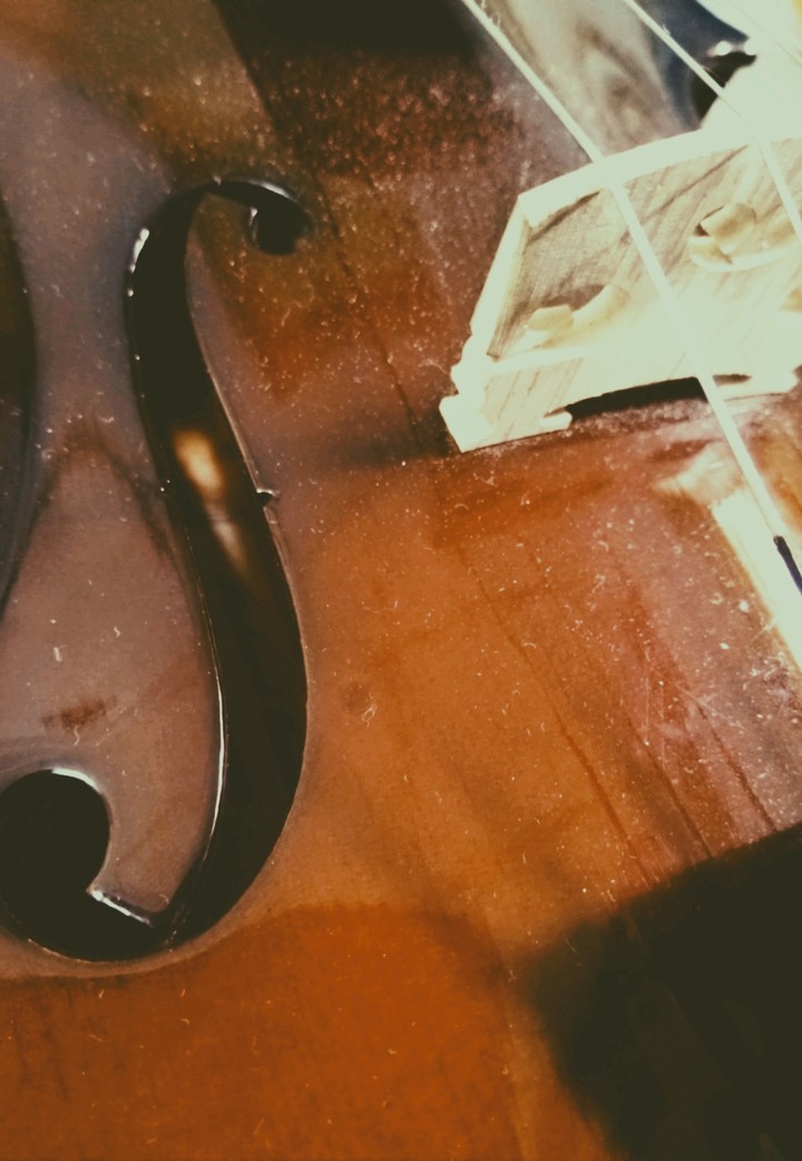 violin