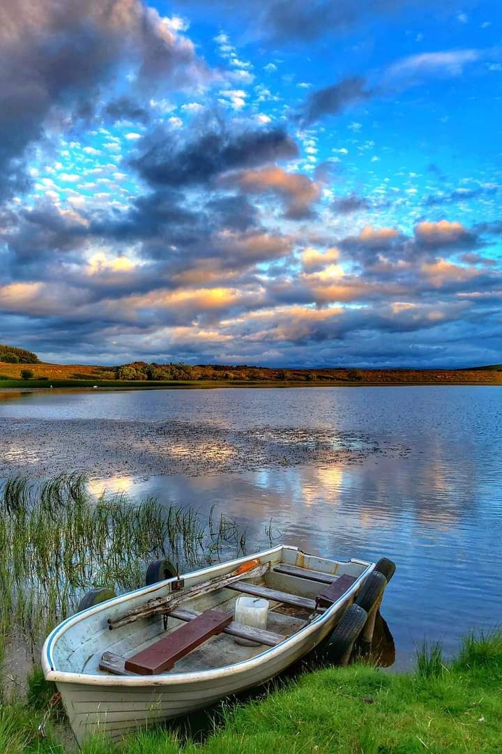 Reflection