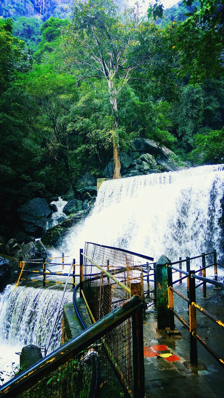 suruli falls