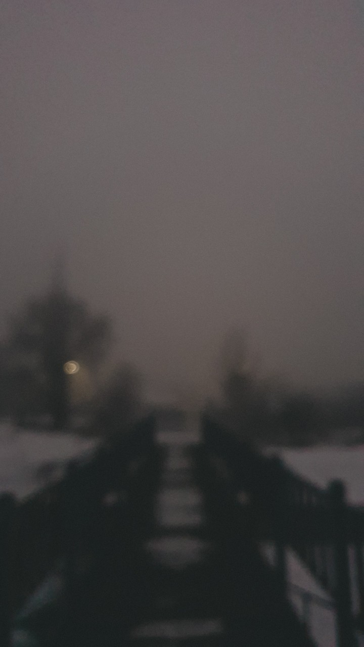 night ?
