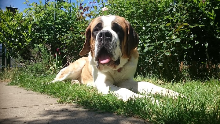 Sommerpause
