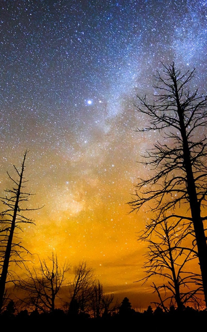 Evening stars