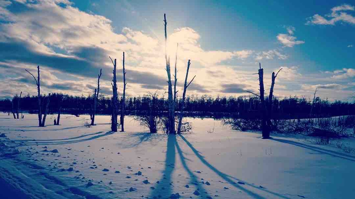 Spring in Yakutia