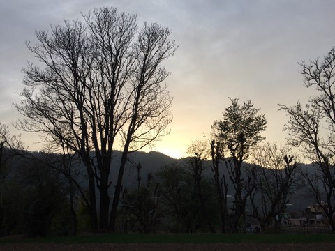 nature