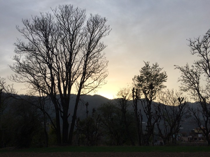 nature