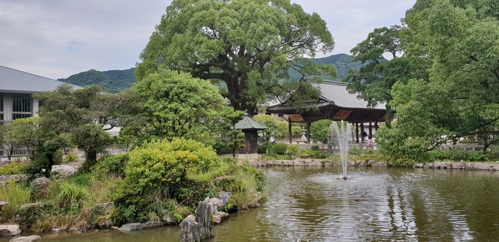 pond
