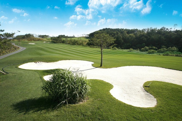 Golf Course