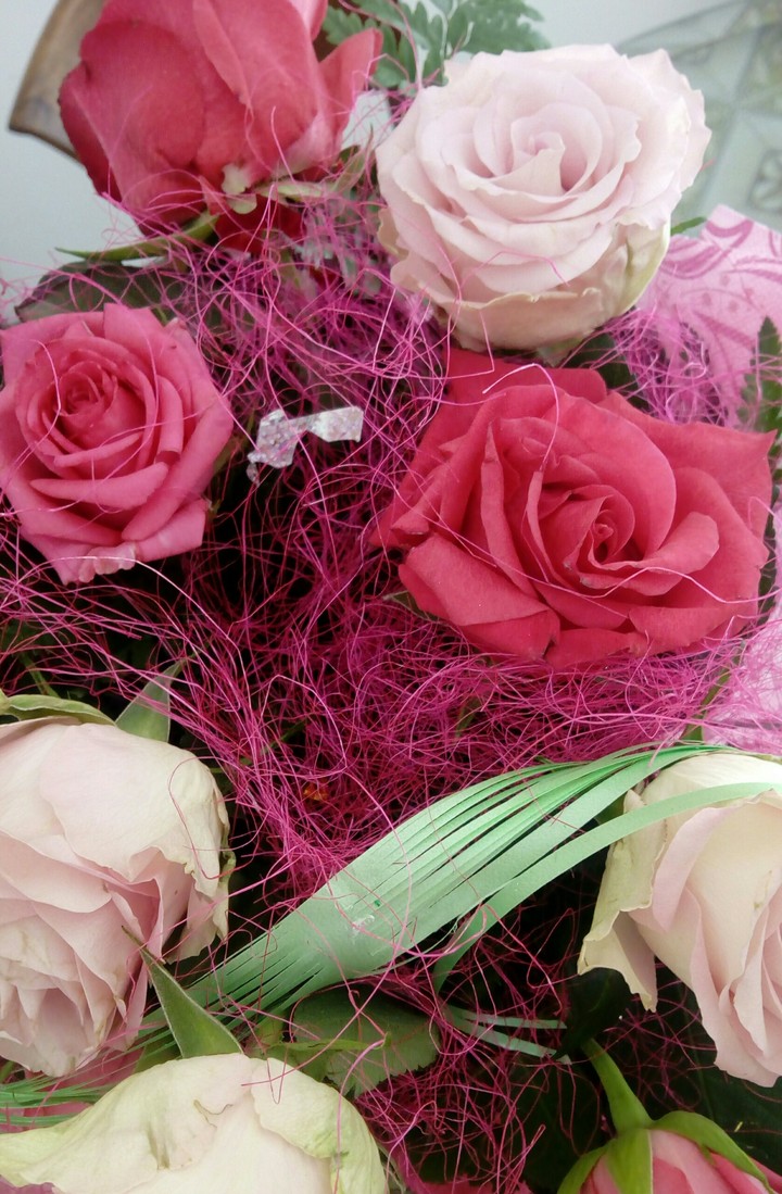 ROSE rosa