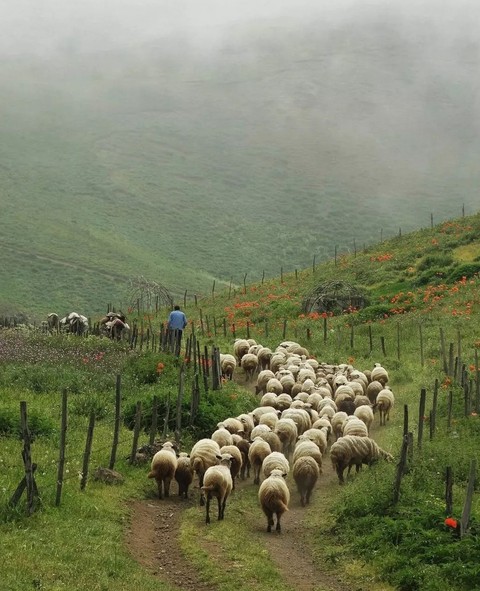 highland, mountain háttérképek