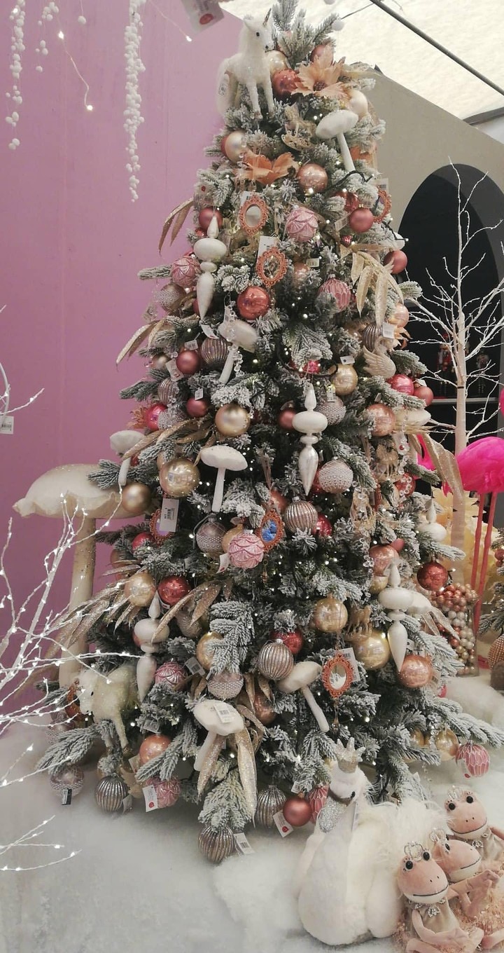 navidad