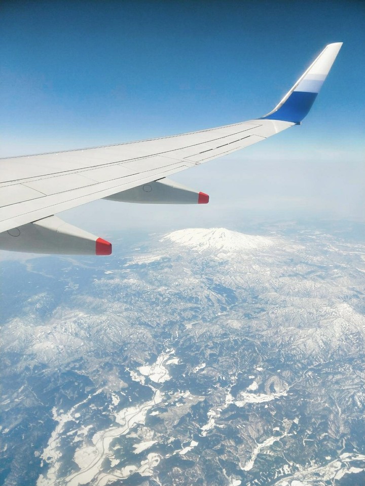 fly