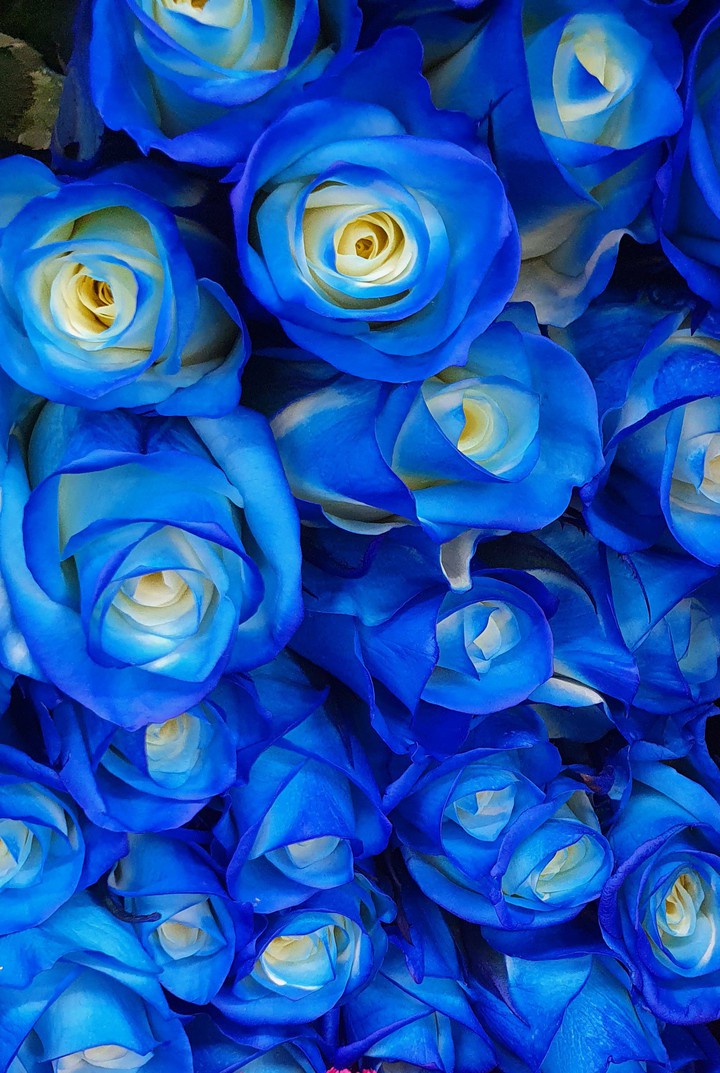 ♥