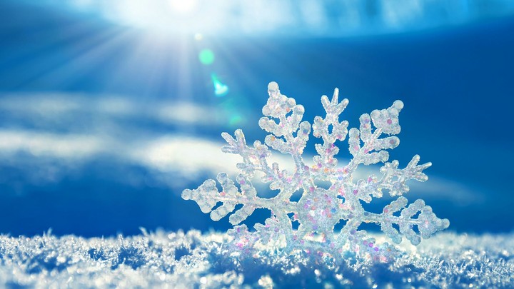 flake of snow