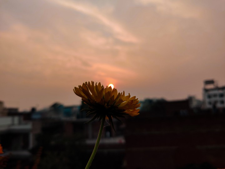 it's all about point of view and found it beautiful.
