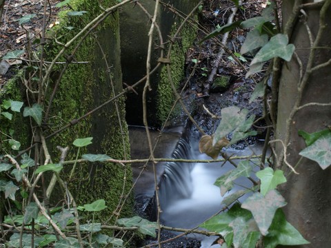 Amazing waterstream between stonewalls