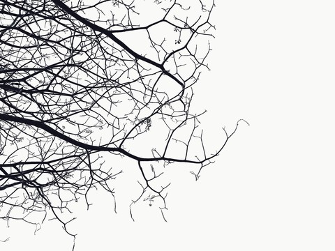 Minimalism tree