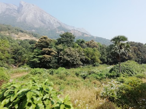 A journey through the Western Ghats...