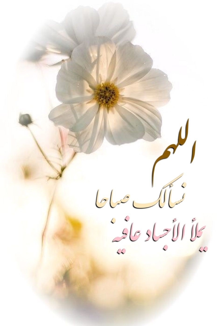 صباح الخير